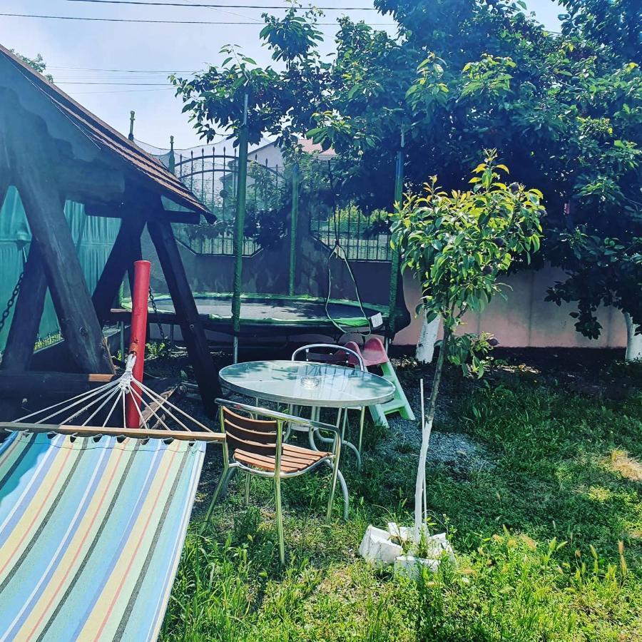 Vila Fery Costinesti Luaran gambar